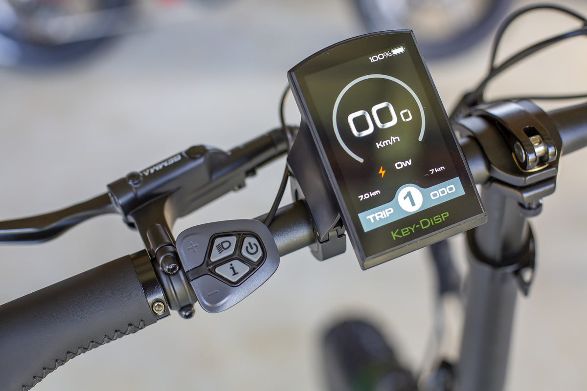 Keep Your E-Bike Battery Healthy While You’re Away