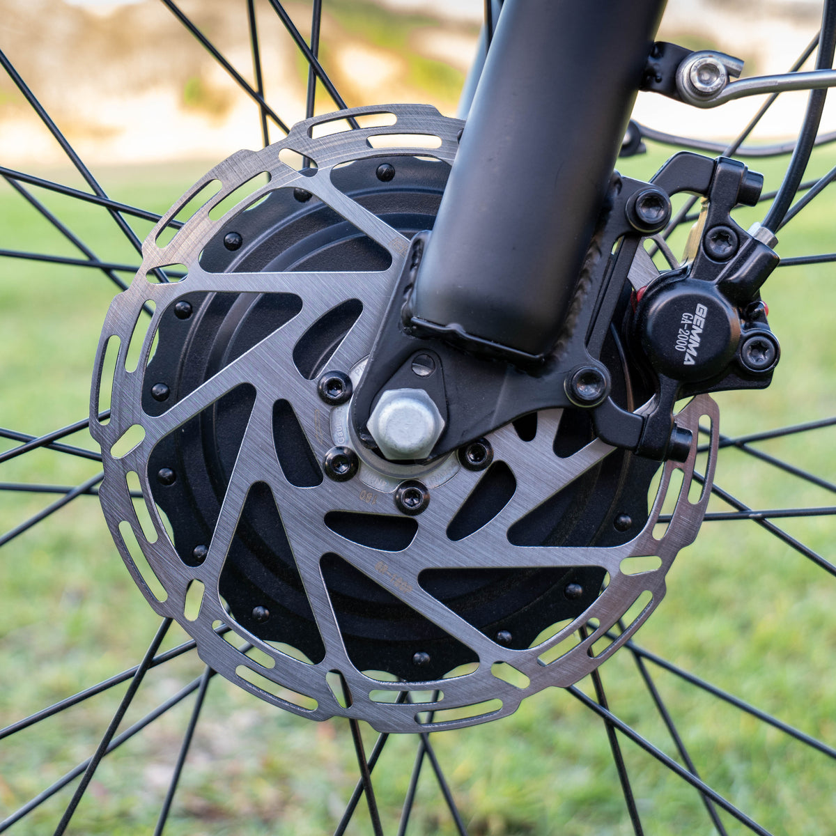 SP500 E-TRIKE