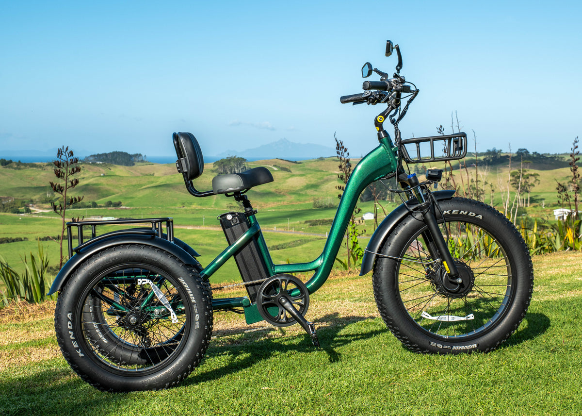 SP500 E-TRIKE